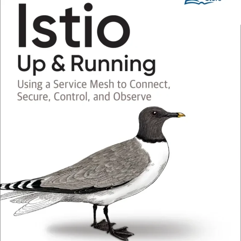 Sách Istio Up Running