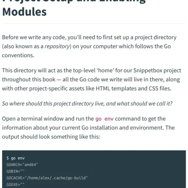 Sách Let’s Go Learn to build professional web applications with Go