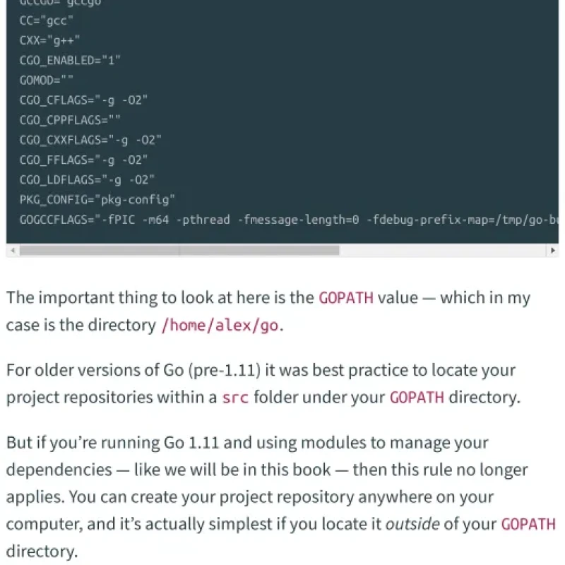Sách Let’s Go Learn to build professional web applications with Go