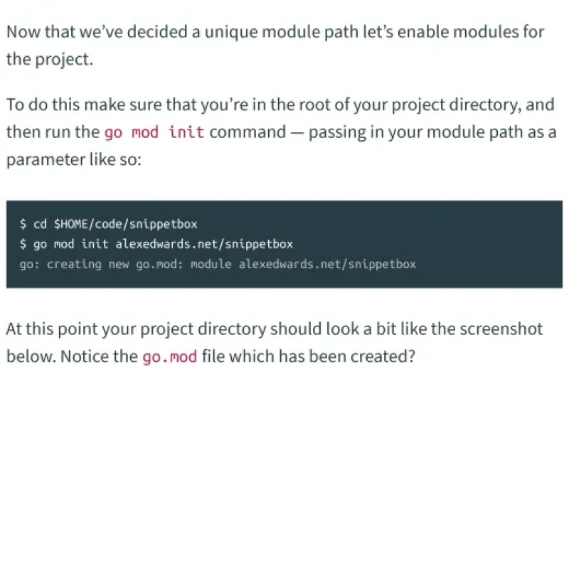 Sách Let’s Go Learn to build professional web applications with Go