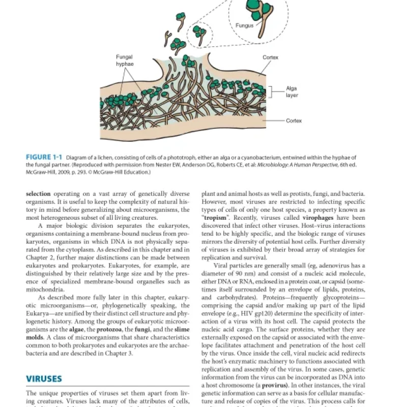 Sách Medical_Microbiology