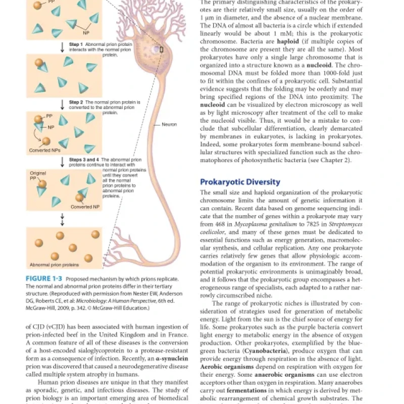 Sách Medical_Microbiology