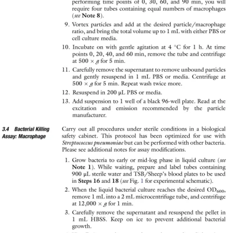Sách Phagocytosis and Phagosomes 2nd Edition