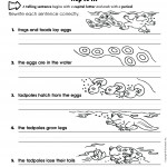 Scholastic Success With Writing Grade 1-5 (Sách đen trắng)