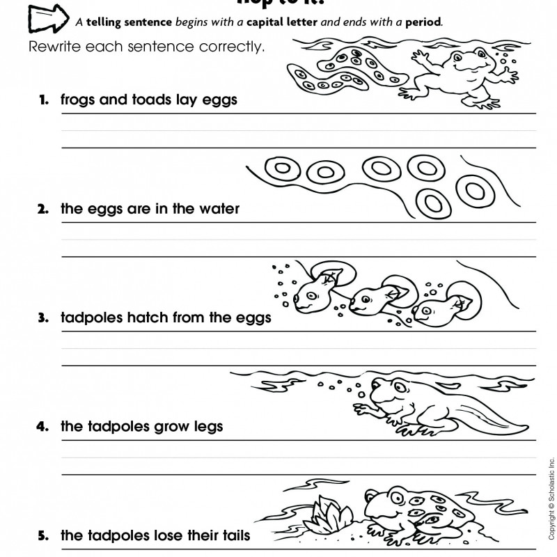 Scholastic Success With Writing Grade 1-5 (Sách đen trắng)