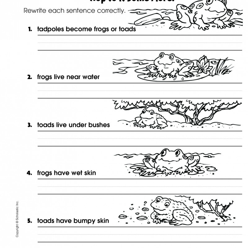 Scholastic Success With Writing Grade 1-5 (Sách đen trắng)