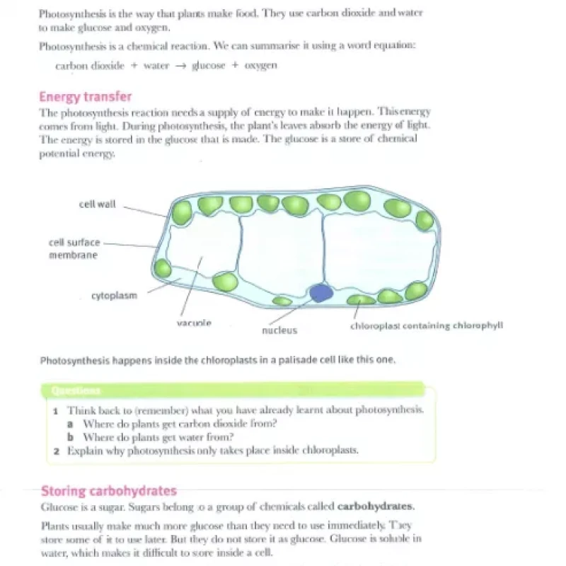 Science Coursebook + Work book