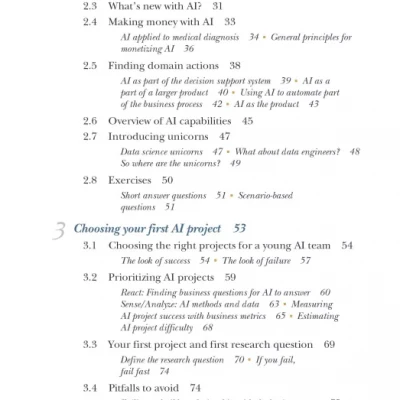 Succeeding with AI How to Make AI Work for Your Business