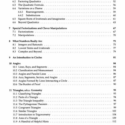 The Art of Problem Solving, Volume 1 the Basics - Hanoibookstore