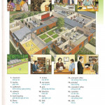 THE OXFORD PICTURE DICTIONARY (Sách màu)