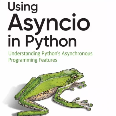 Using Asyncio in Python