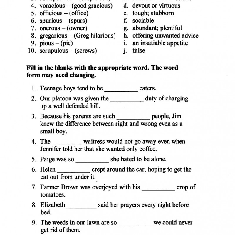 VOCABULARY CARTOONS II SAT WORD POWER (Sách đen trắng)