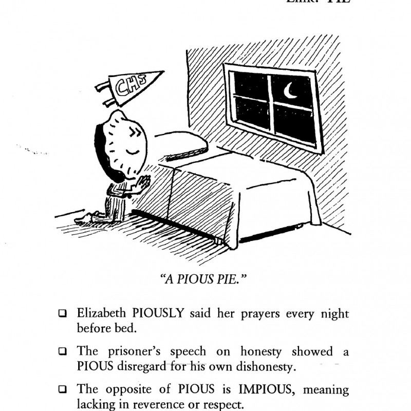 VOCABULARY CARTOONS II SAT WORD POWER (Sách đen trắng)