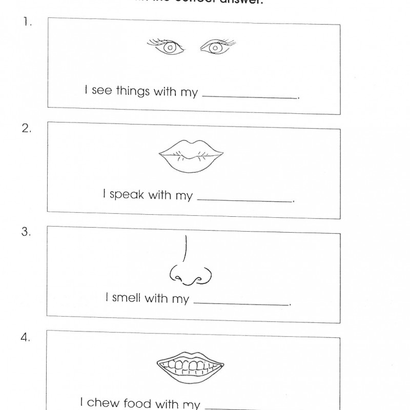 Vocabulary for Kindergarten (Sách đen trắng)